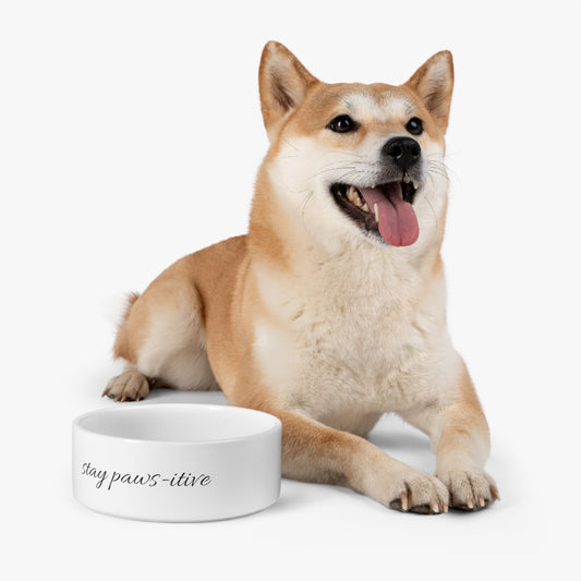 Stay Paws-itive Collection- Paws-itive Pet Bowl
